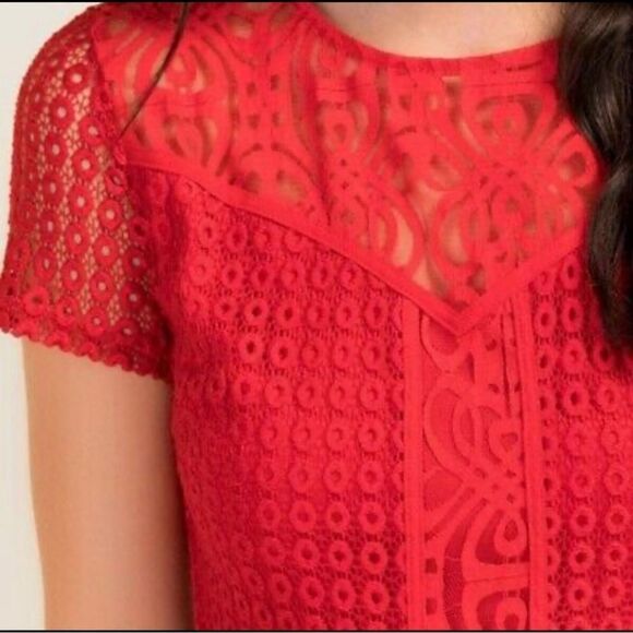 Francesca's red lace short sleeve dress - Picture 4 of 13